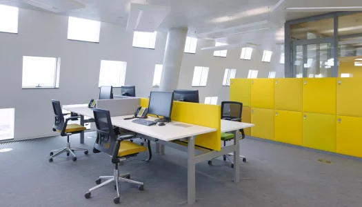 vepa_NIK2917-2000x1332-1-EN-min